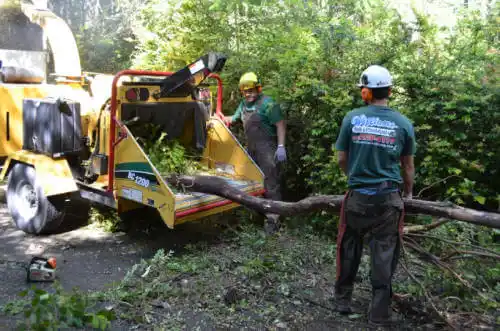 tree services Juneau